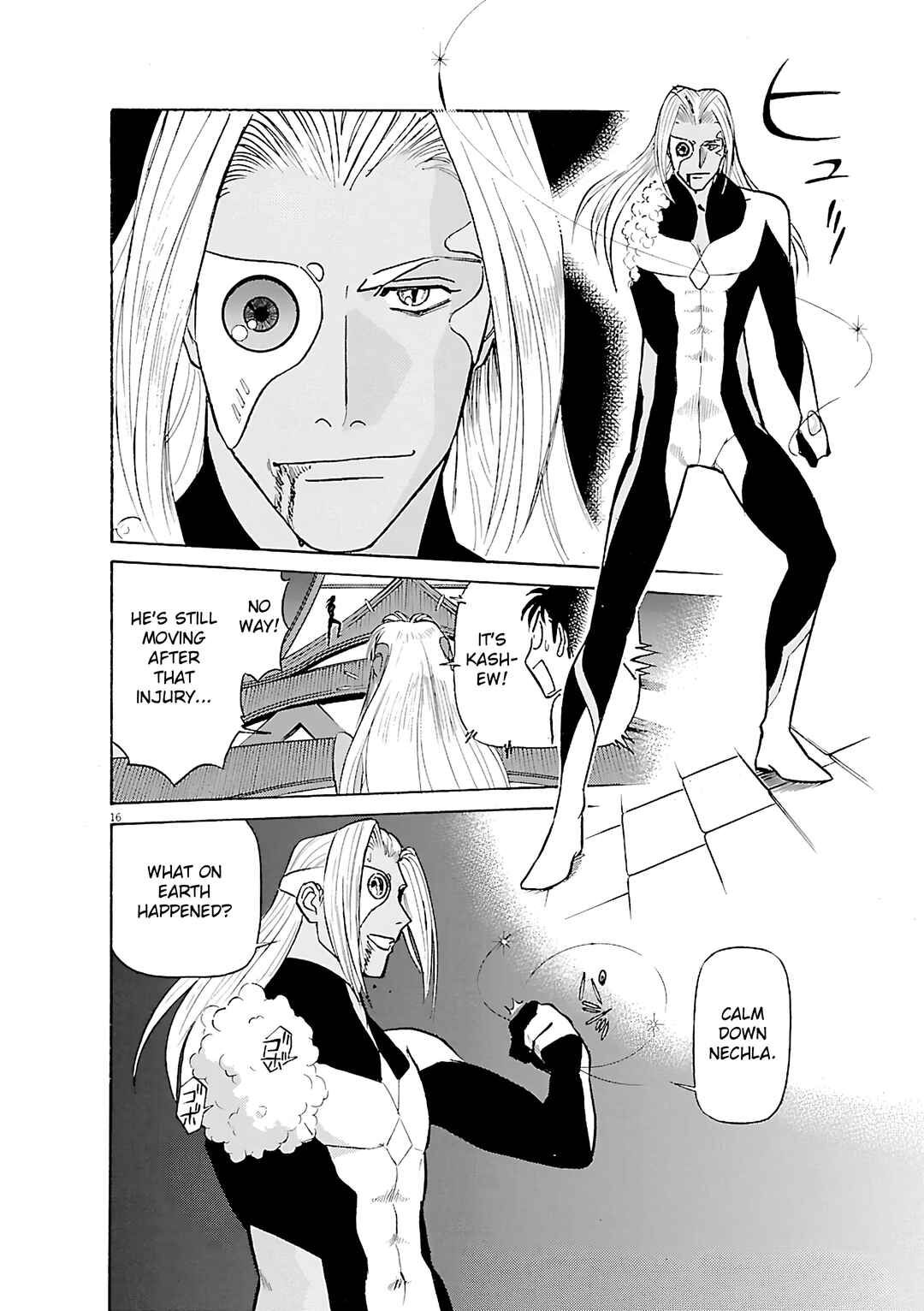 Tetsuwan Birdy Evolution Chapter 101 - Page 15