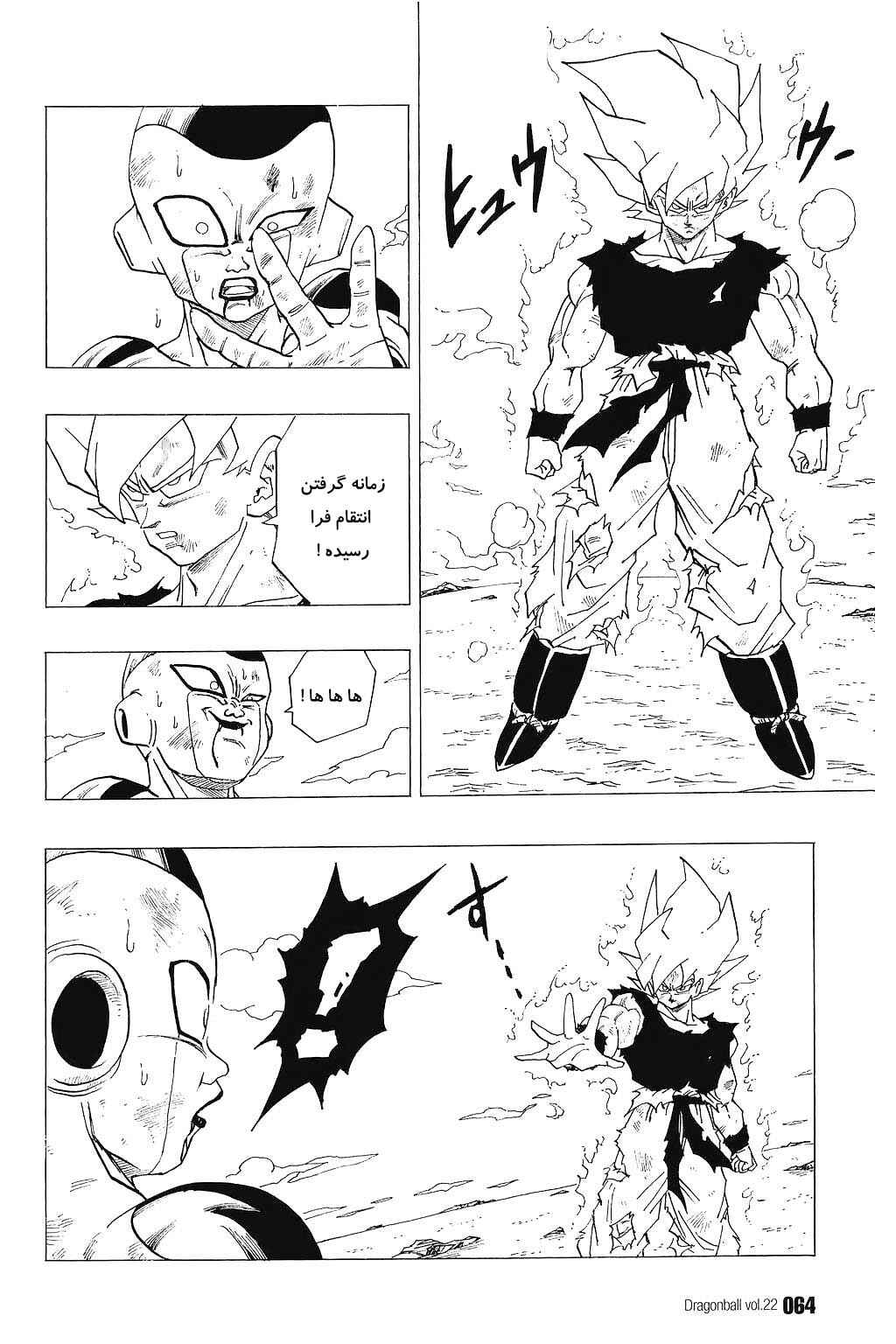 Dragon Ball Chapter 318 - Page 15