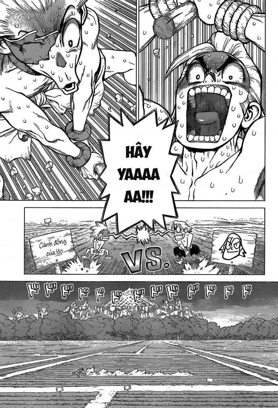 Dr.STONE Chapter 91 - Page 9