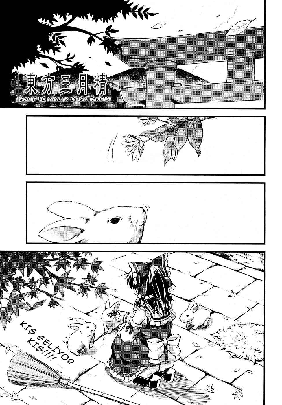 Touhou Sangetsusei ~ Strange and Bright Nature Deity. Chapter 4 - Page 1