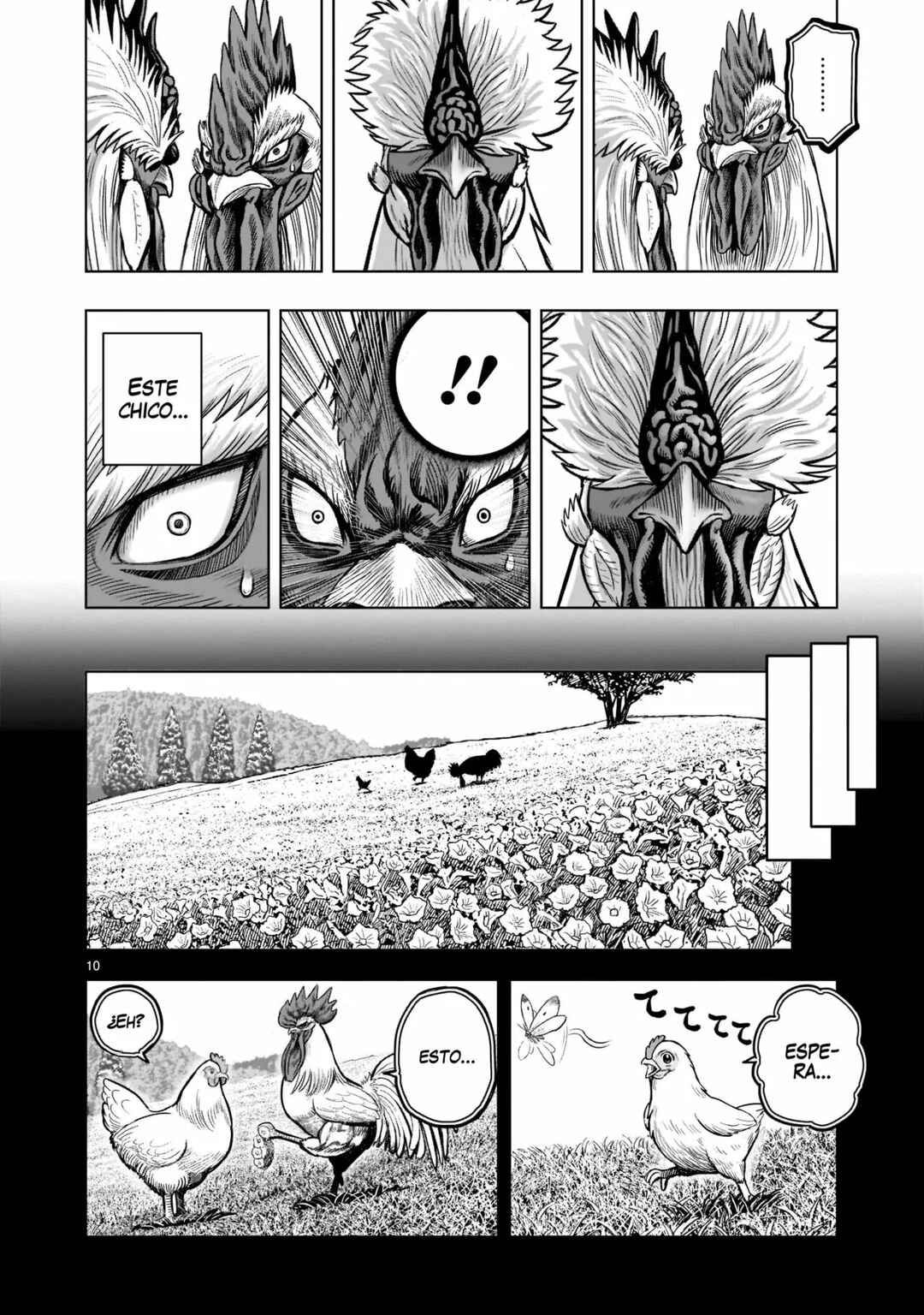 Niwatori Fighter Chapter 19 - Page 11