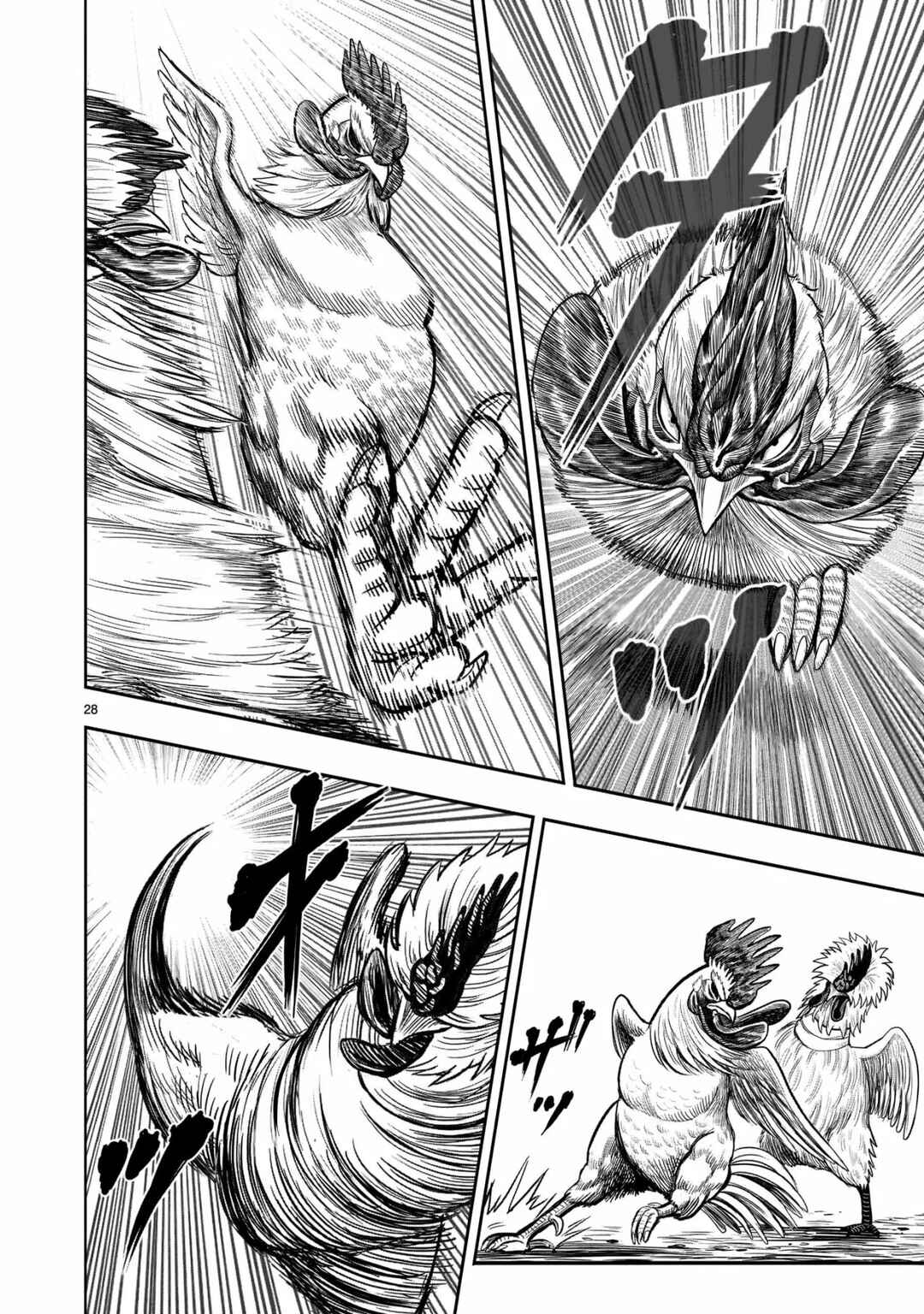 Niwatori Fighter Chapter 19 - Page 29