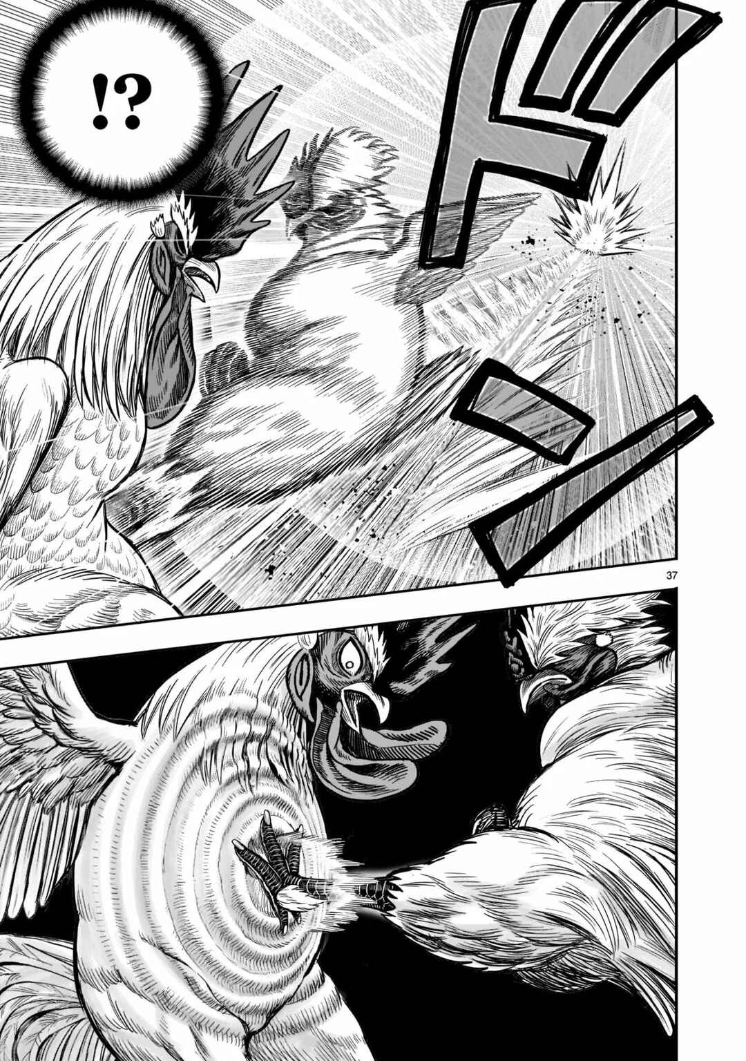 Niwatori Fighter Chapter 19 - Page 38