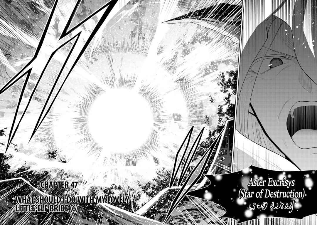 Maou no Ore ga Dorei Elf wo Yome ni Shitanda ga, Dou Medereba Ii? Chapter 47 - Page 2