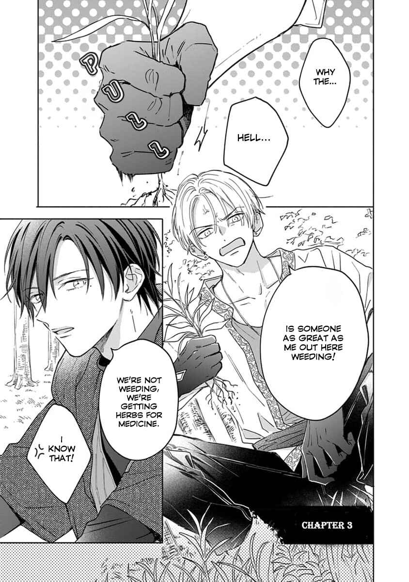 Yuusha no Ore-sama ga Madoushi Nanka ni! Chapter 3 - Page 2