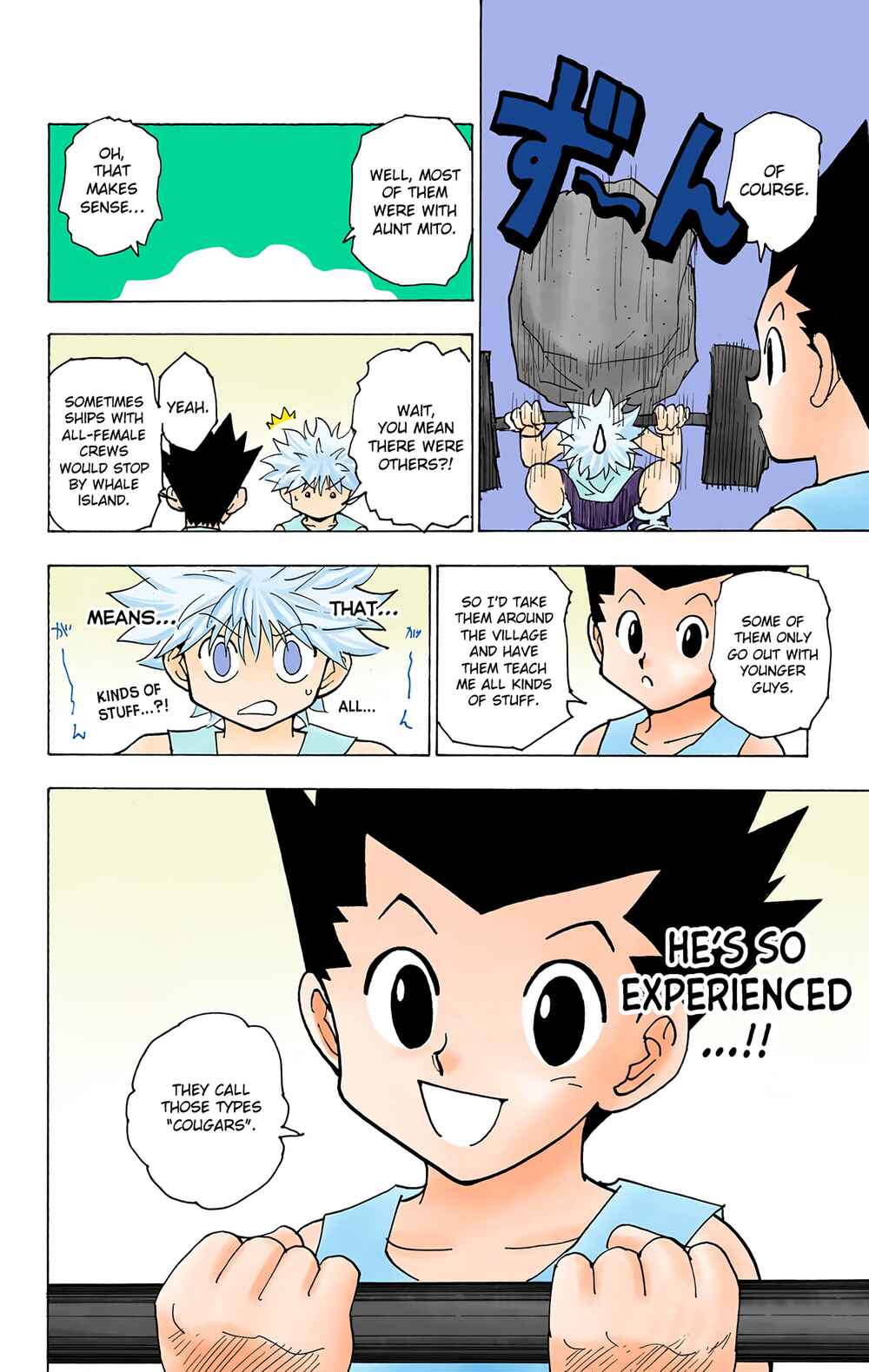 Hunter x Hunter (Official Colored) Chapter 217 - Page 12