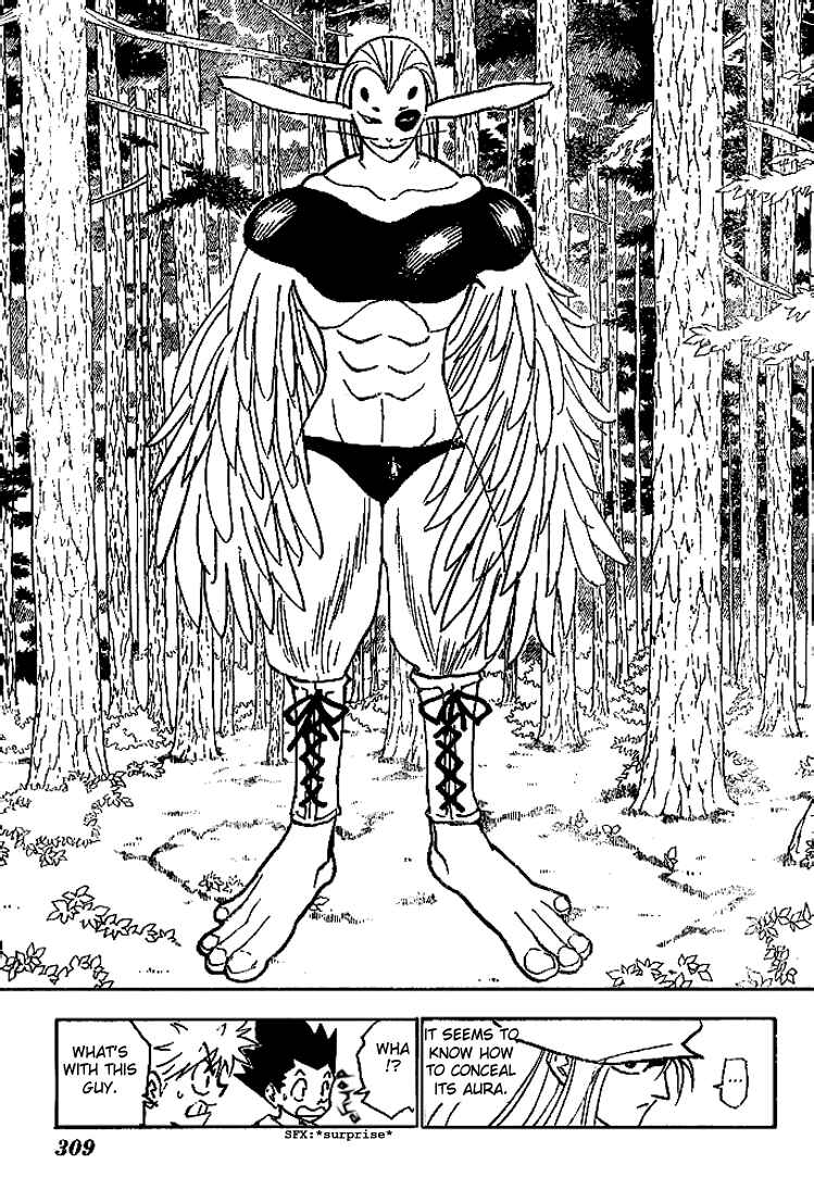 Hunter x Hunter Chapter 191 - Page 4