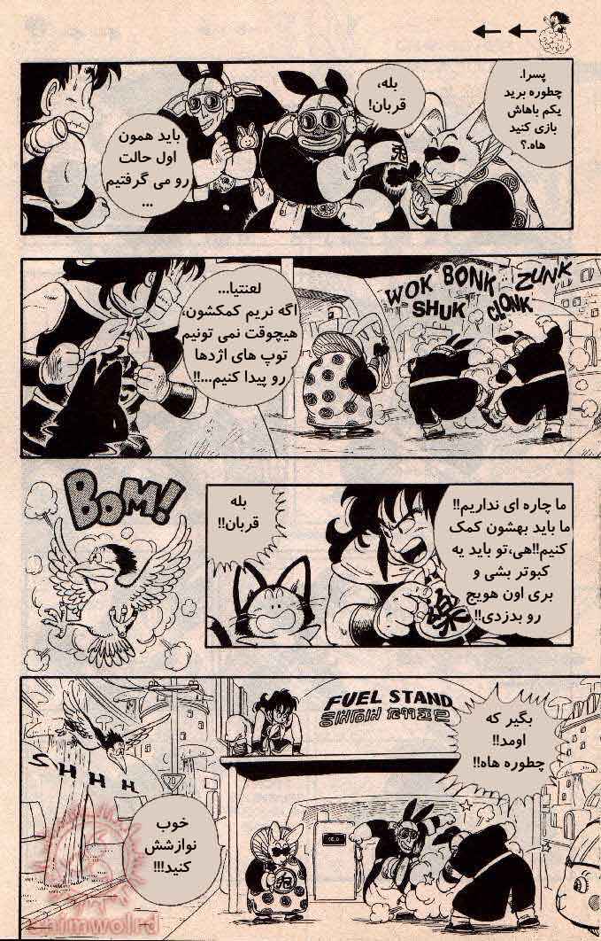 Dragon Ball Chapter 17 - Page 10