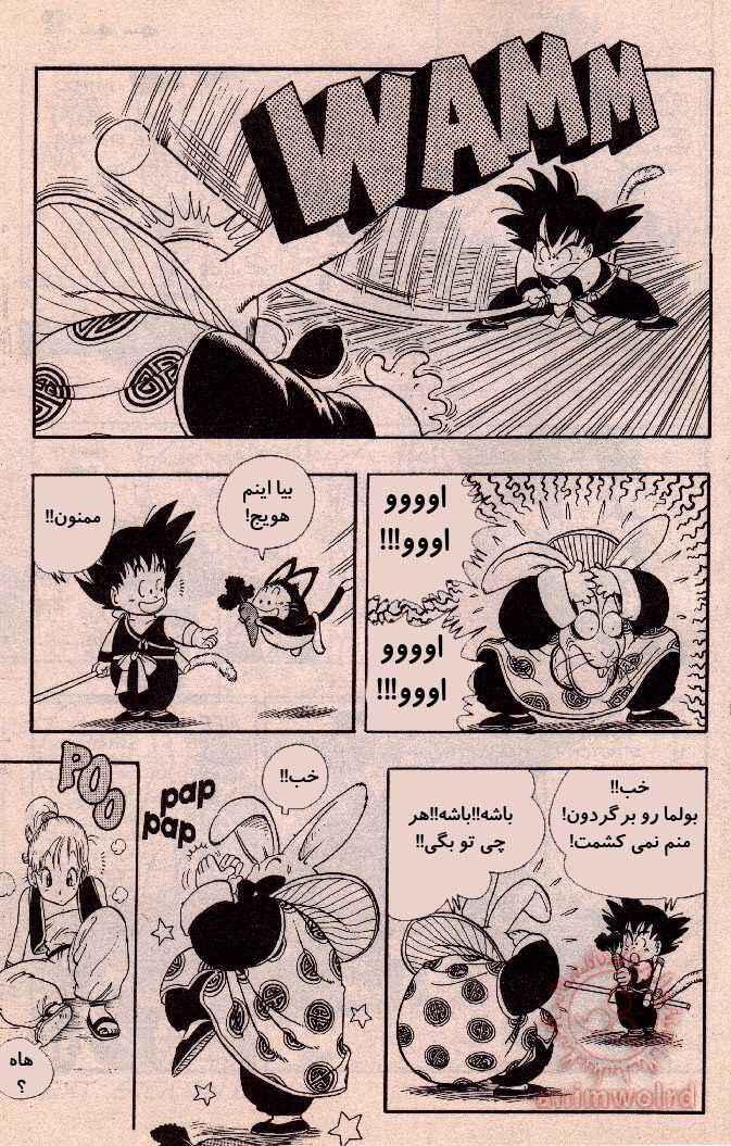 Dragon Ball Chapter 17 - Page 13