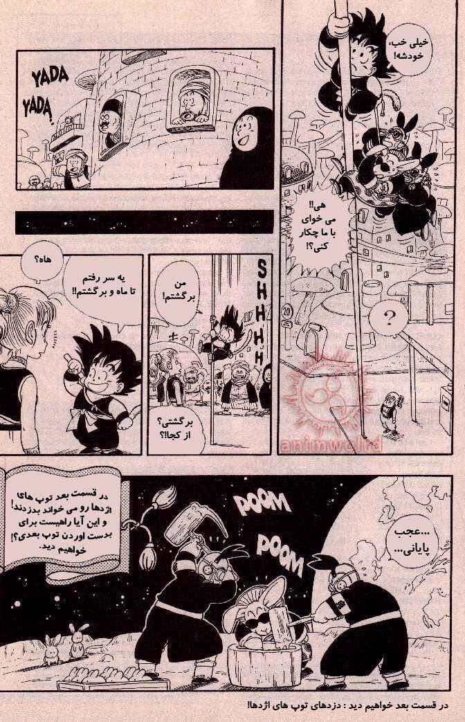 Dragon Ball Chapter 17 - Page 15