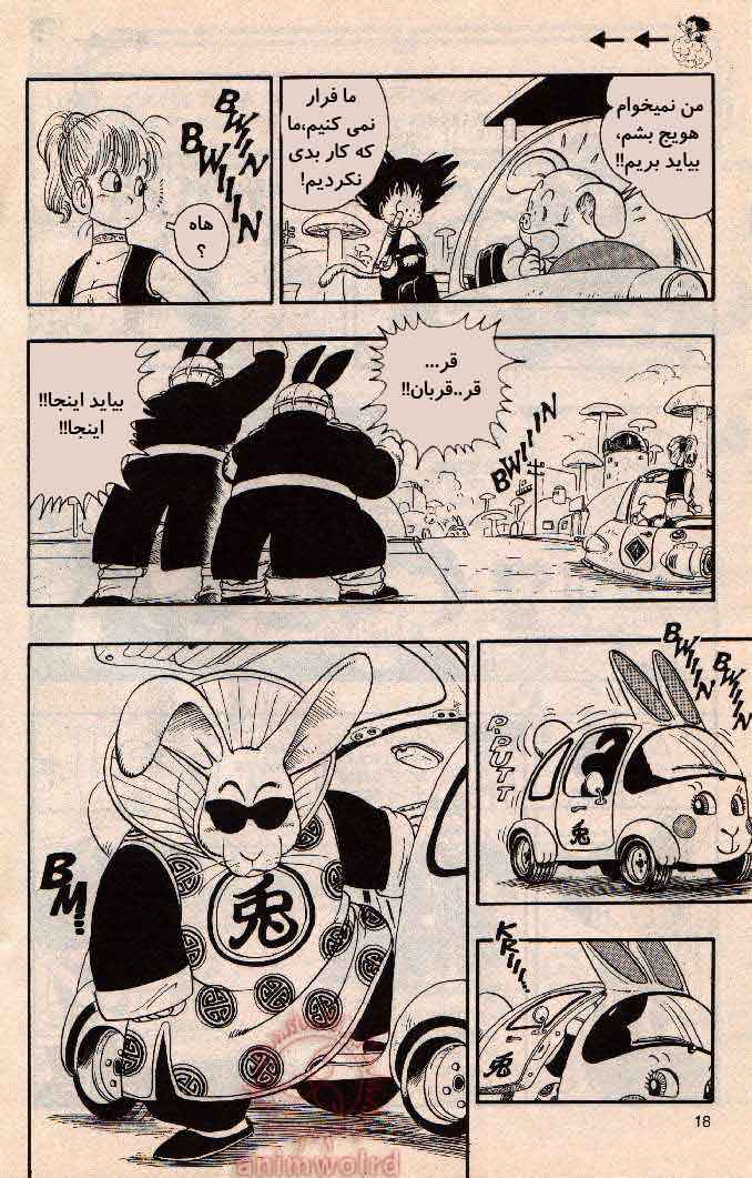 Dragon Ball Chapter 17 - Page 4