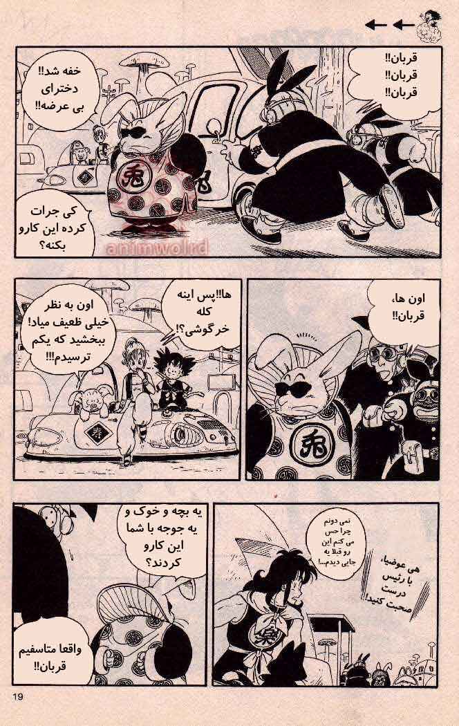 Dragon Ball Chapter 17 - Page 5