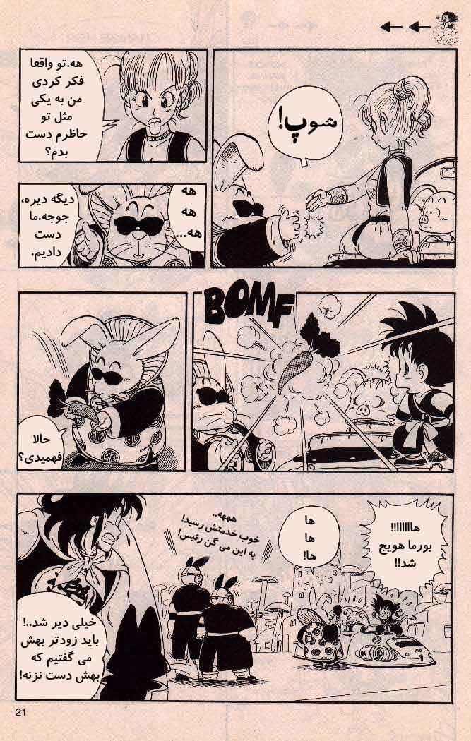 Dragon Ball Chapter 17 - Page 7