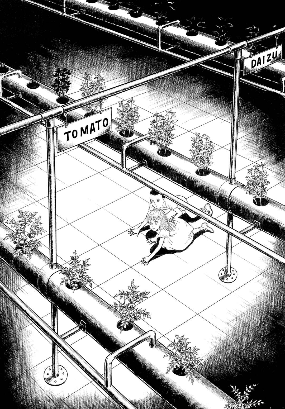 My Name Is Shingo Chapter 83 - Page 2