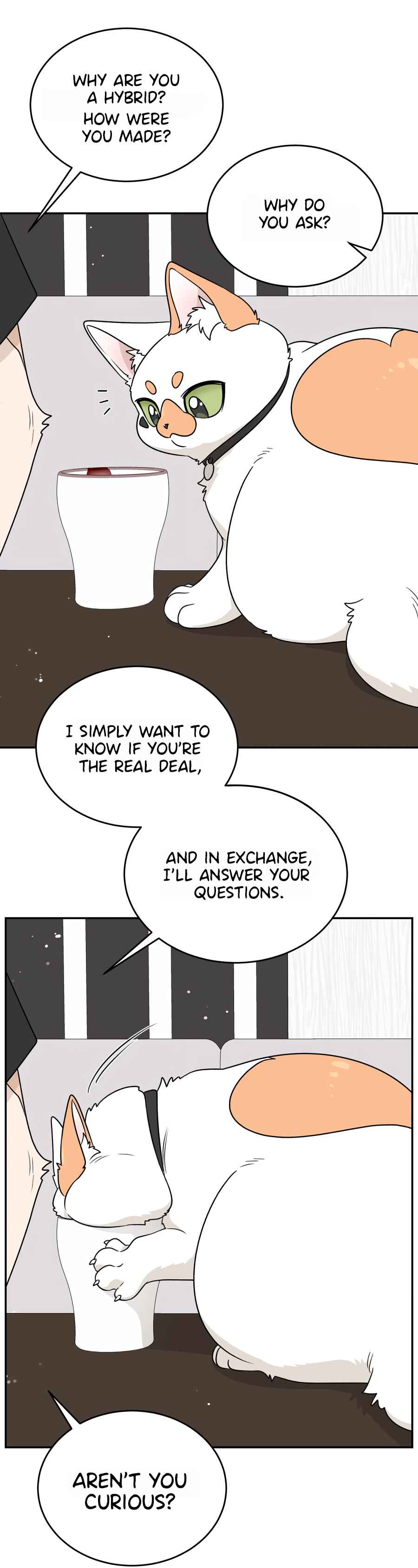 Wǒ de shíwù kàn qǐlái hěn kě'ài' Chapter 164 - Page 31