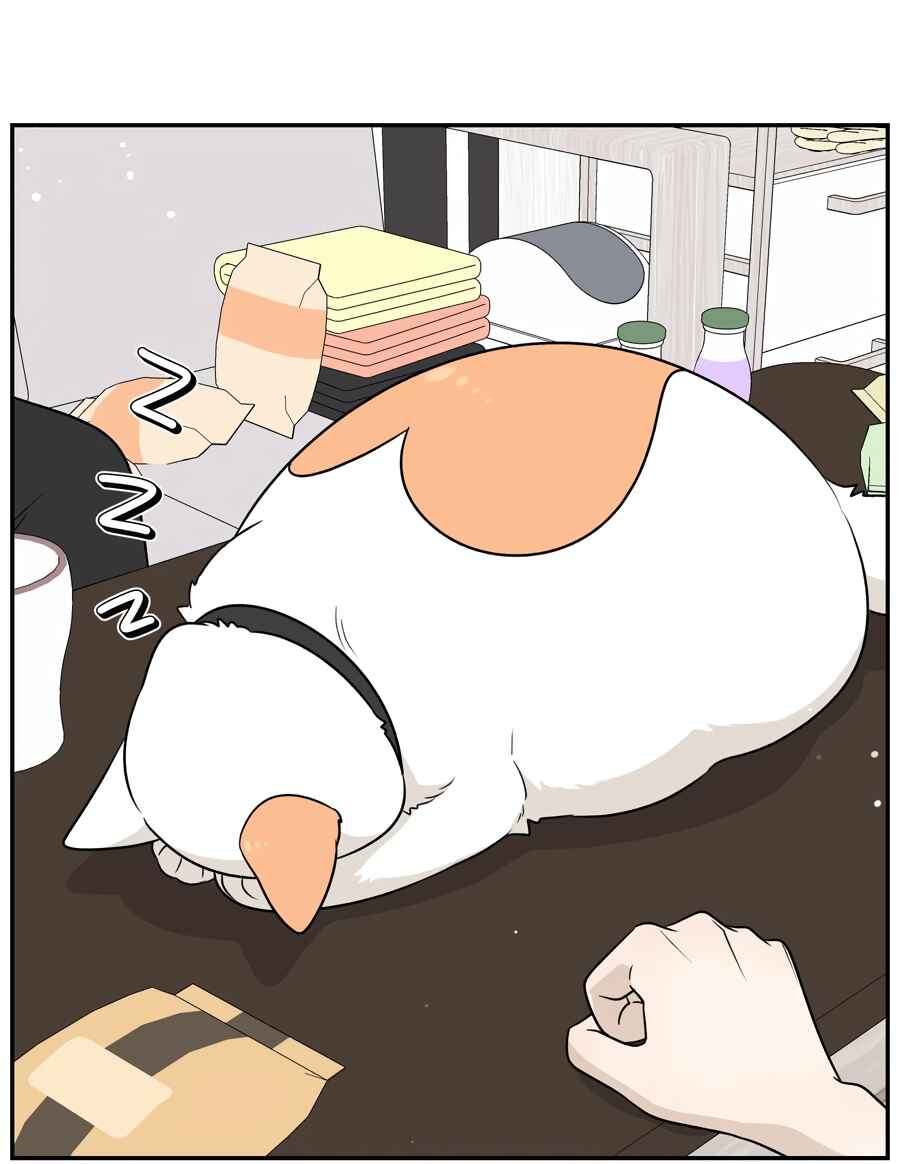 Wǒ de shíwù kàn qǐlái hěn kě'ài' Chapter 164 - Page 39