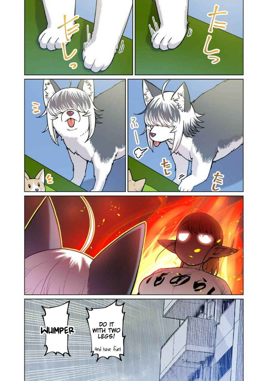 Shin Elf-san wa Yaserarenai. (Official Colored) Chapter 4 - Page 19