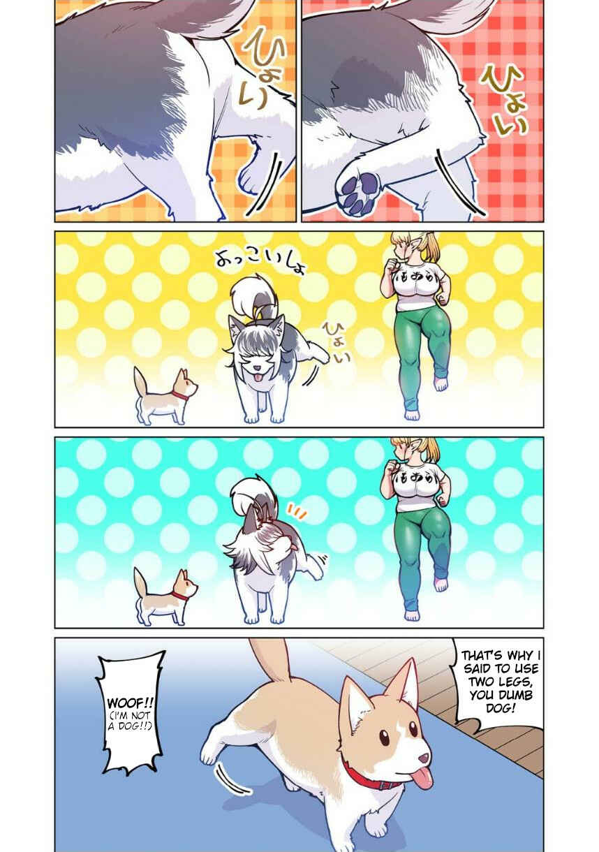 Shin Elf-san wa Yaserarenai. (Official Colored) Chapter 4 - Page 23