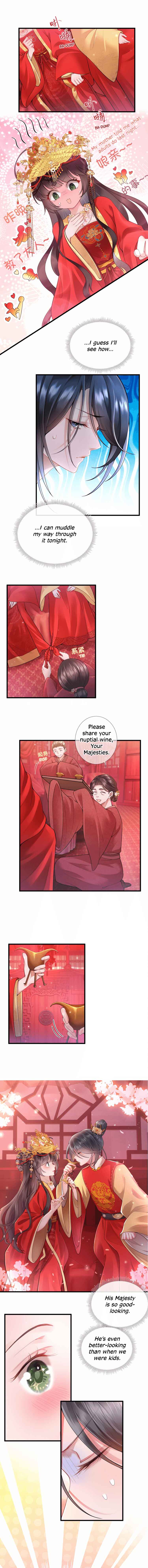 Unaware His Majesty Is a Girl Chapter 1 - Page 6