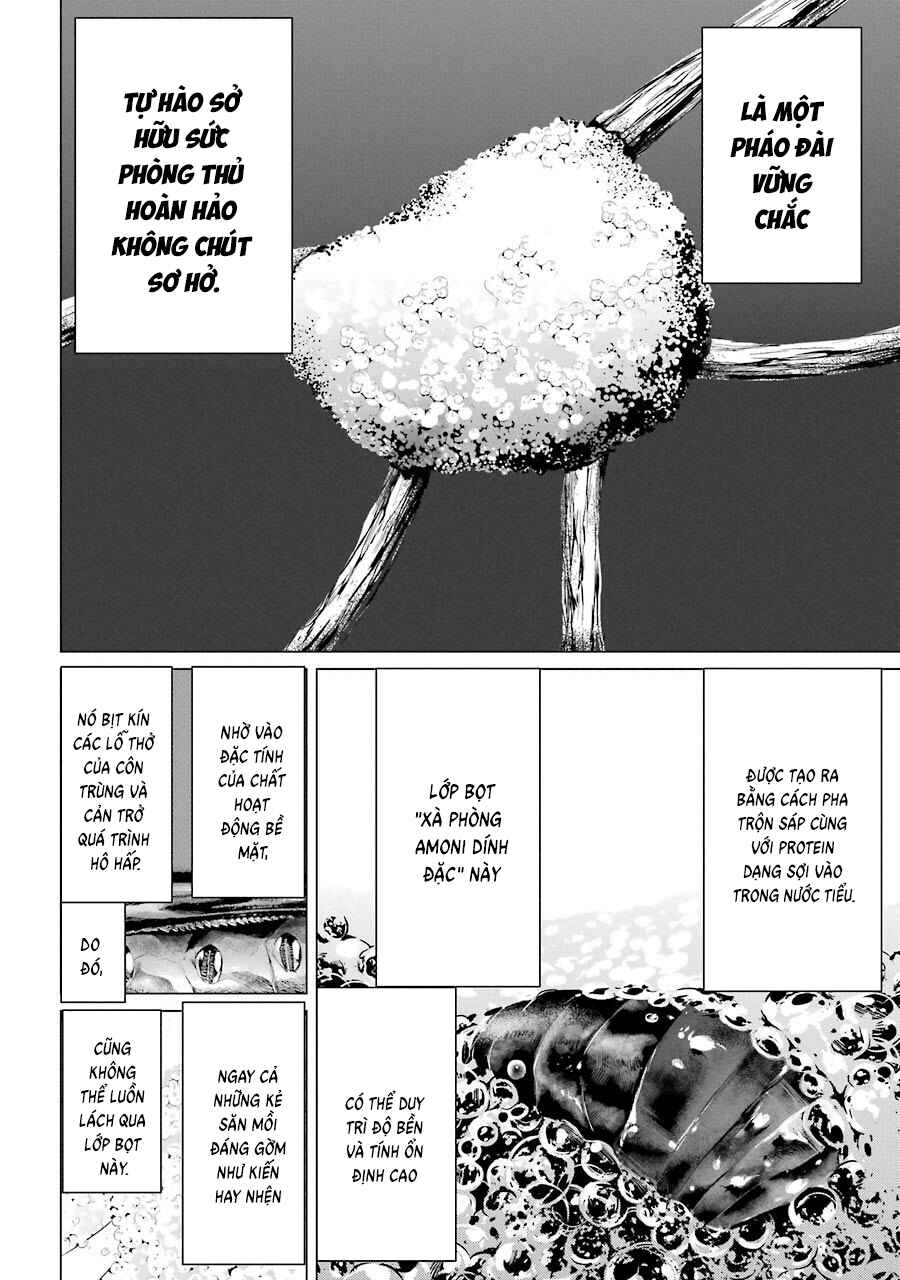 Châu Bùi no Shinobi Chapter 2 - Page 22