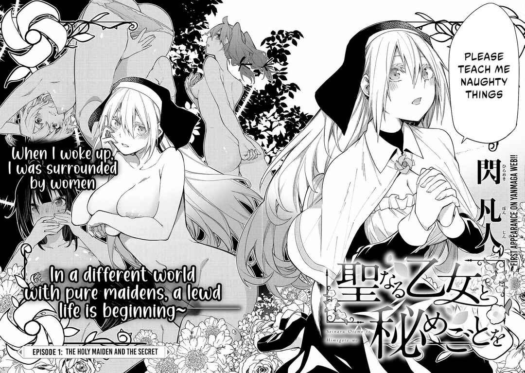 Seinaru Otome to Himegoto wo Chapter 1 - Page 3