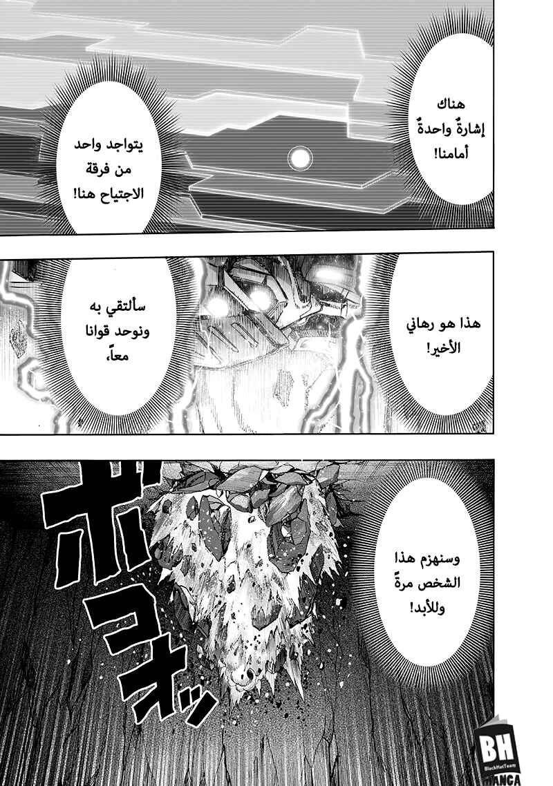 One Punch-Man Chapter 99.2 - Page 33