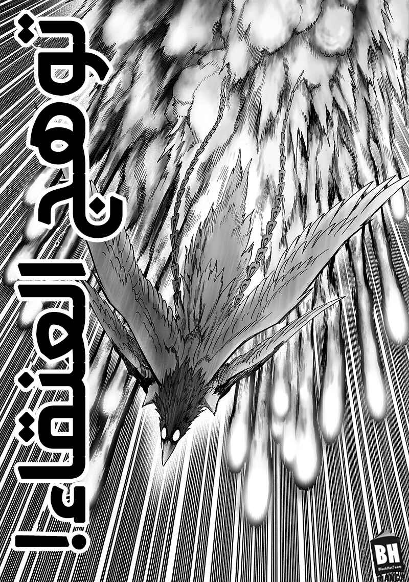One Punch-Man Chapter 99.2 - Page 8