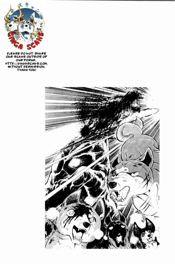 Silver Fang – The Shooting Star Gin – Chapter 40 - Page 22