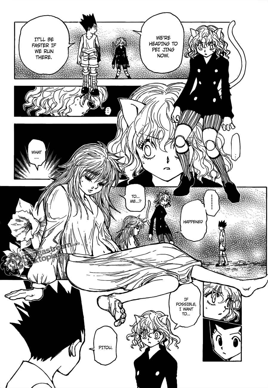Hunter x Hunter Chapter 300 - Page 12