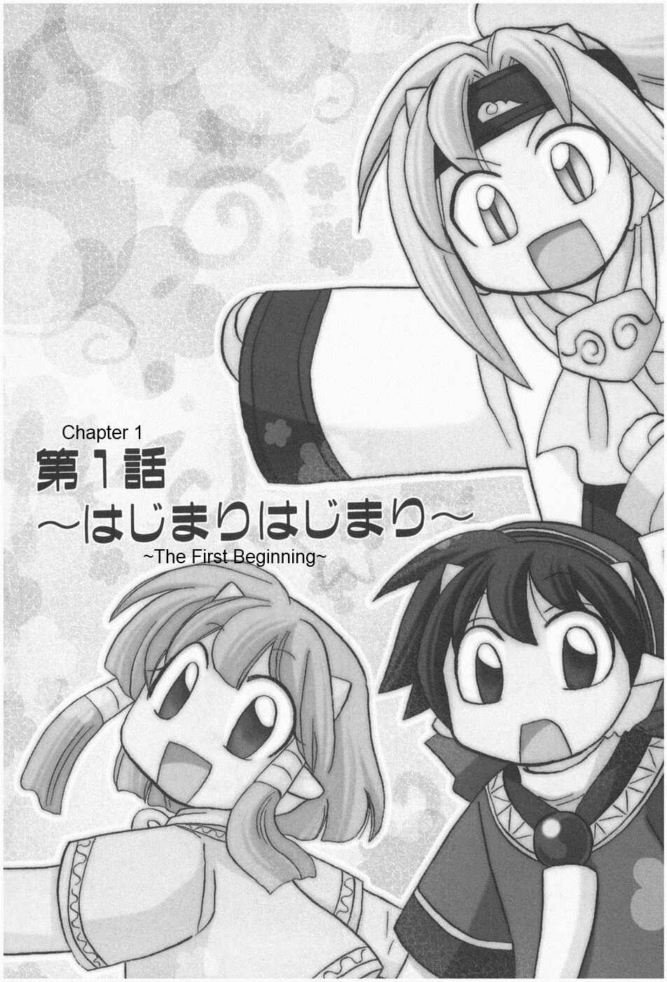 The Dragon Mages of Corseltel ~The Tale of the Dragon Children~ Chapter 1 - Page 12