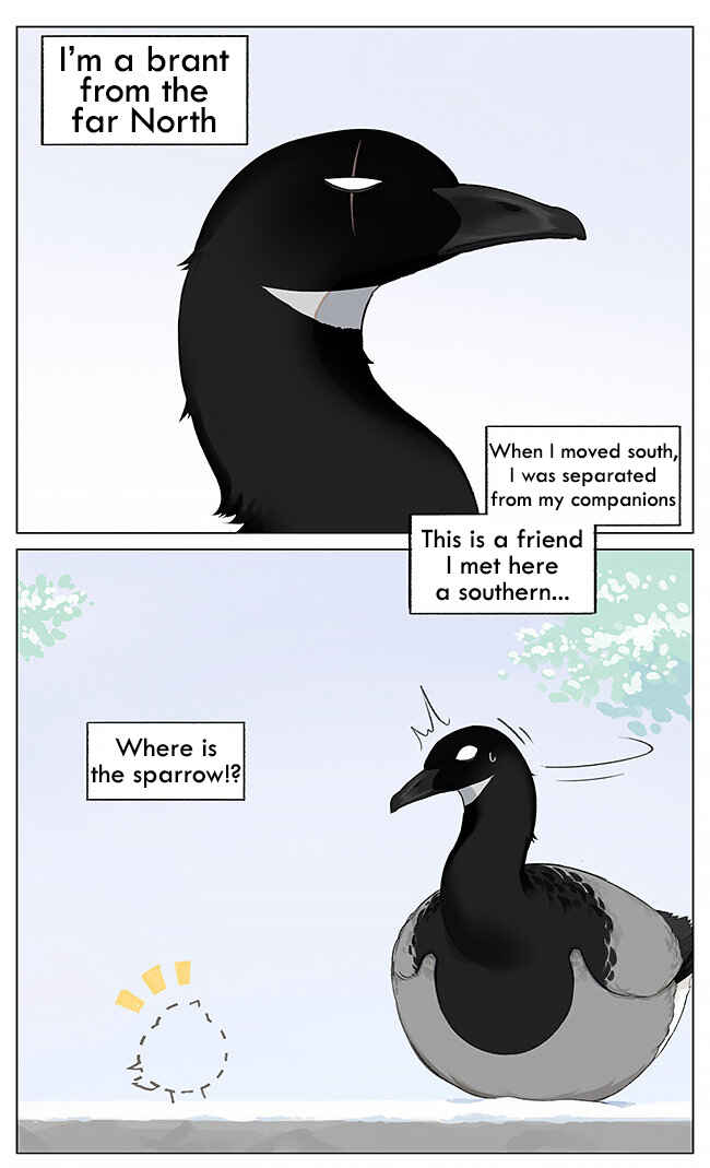 Southern Bird and Northern Bird Chapter 6 - Page 1