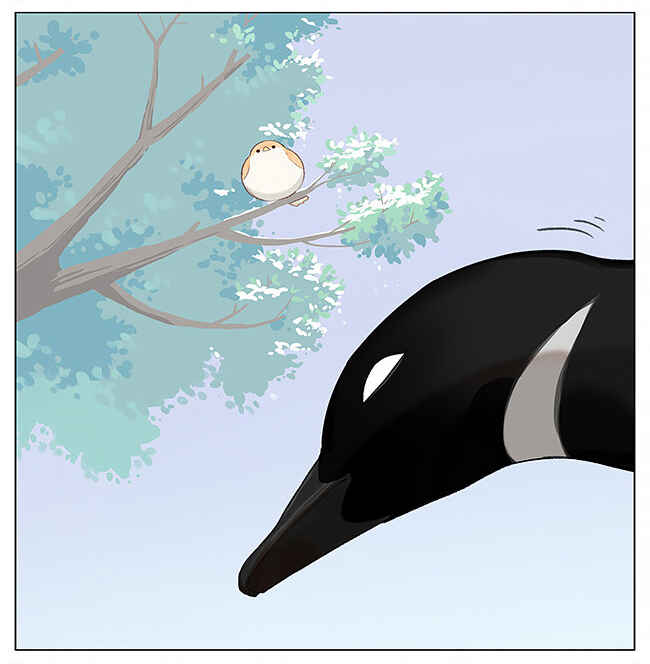 Southern Bird and Northern Bird Chapter 6 - Page 3
