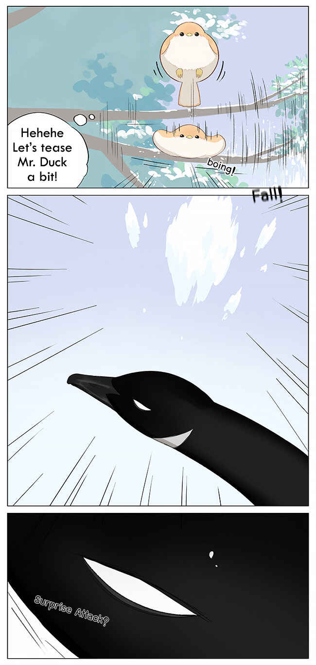 Southern Bird and Northern Bird Chapter 6 - Page 4
