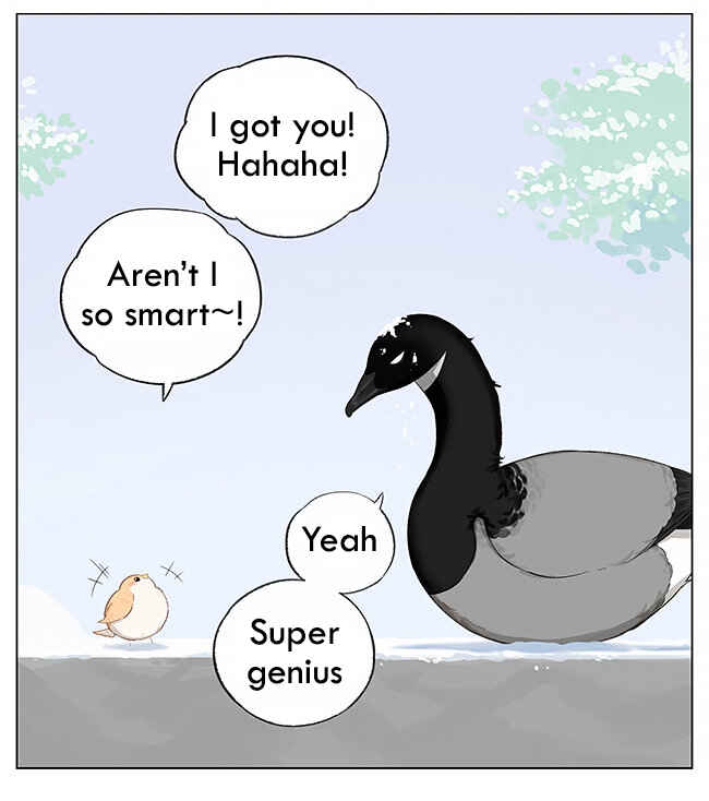 Southern Bird and Northern Bird Chapter 6 - Page 8