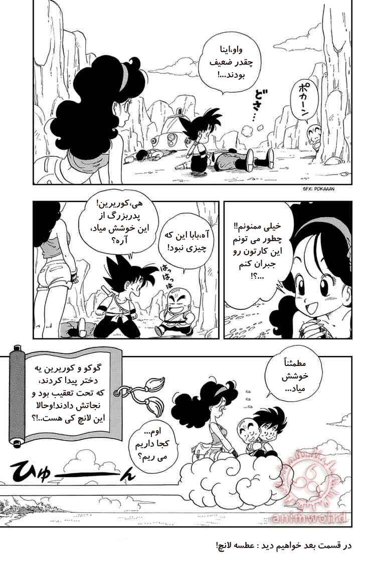 Dragon Ball Chapter 26 - Page 15