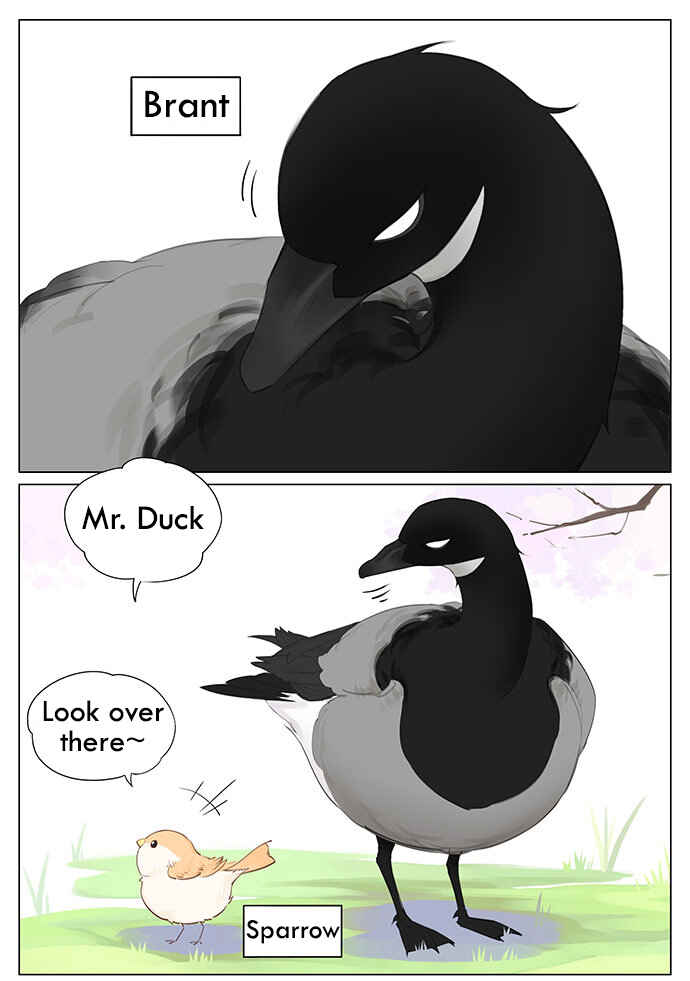 Southern Bird and Northern Bird Chapter 43 - Page 1