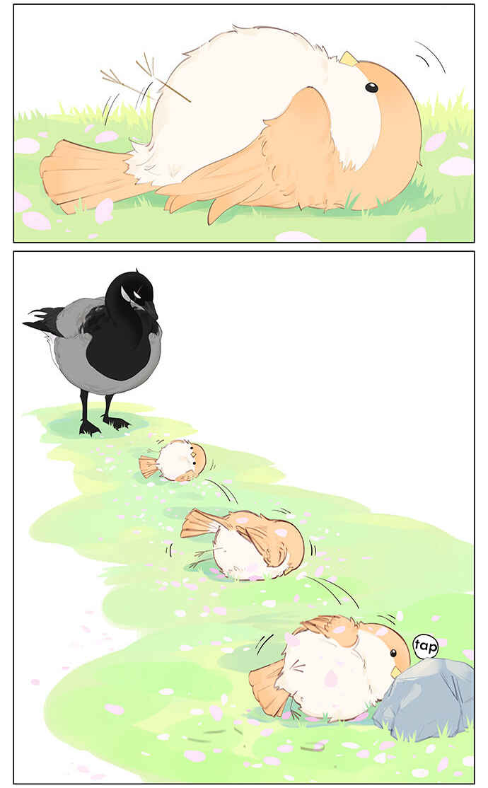 Southern Bird and Northern Bird Chapter 43 - Page 6
