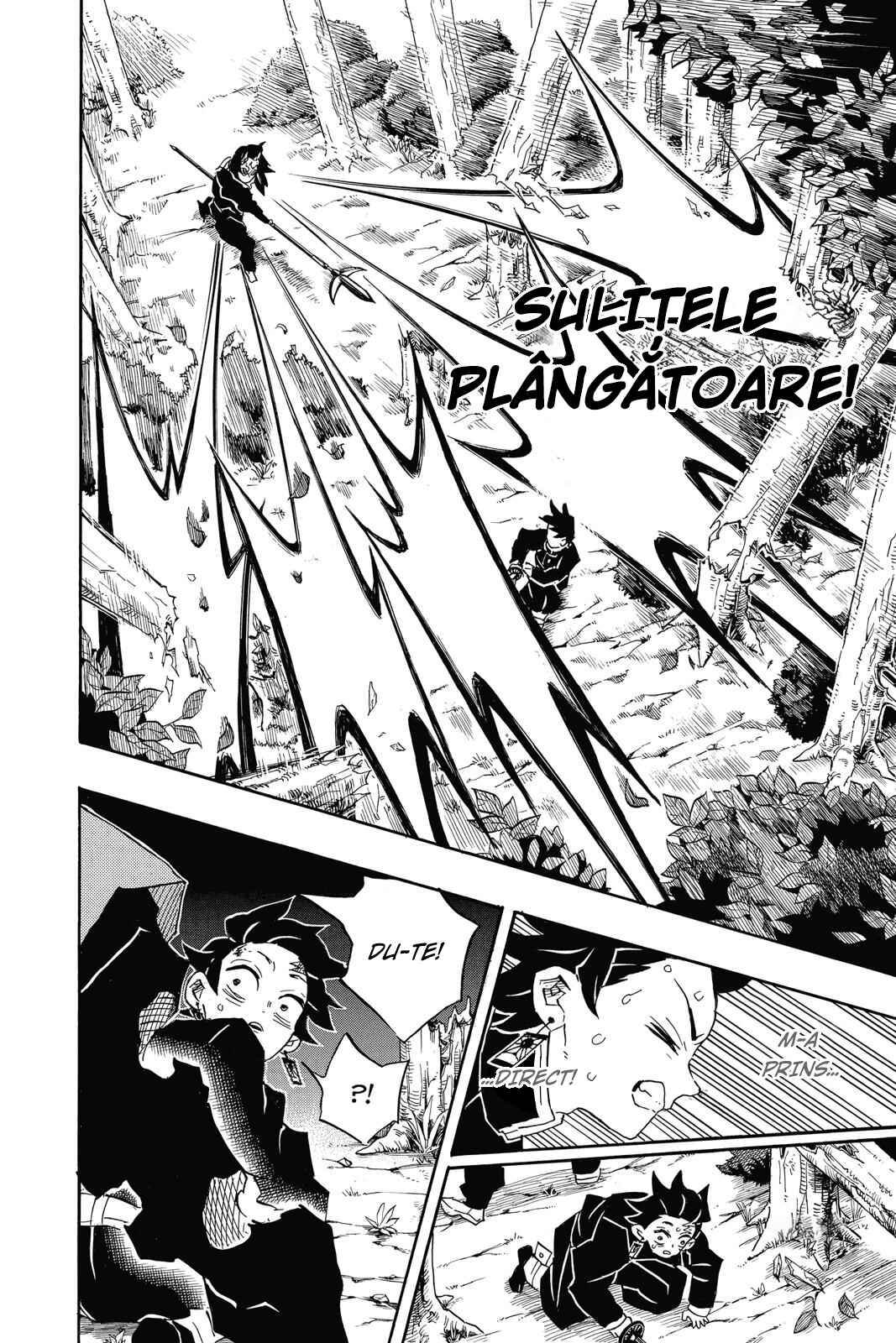 Demon Slayer: Kimetsu no Yaiba Chapter 115 - Page 17
