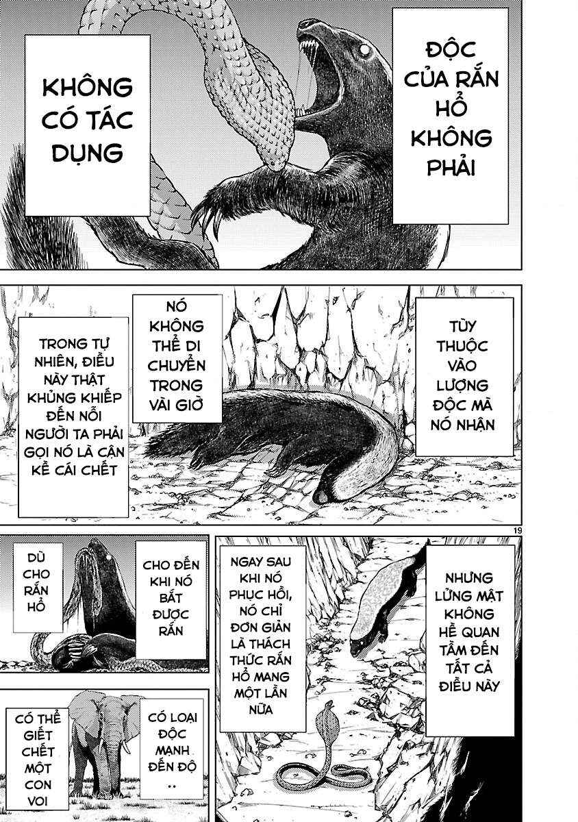 Killing Bites Chapter 15 - Page 21