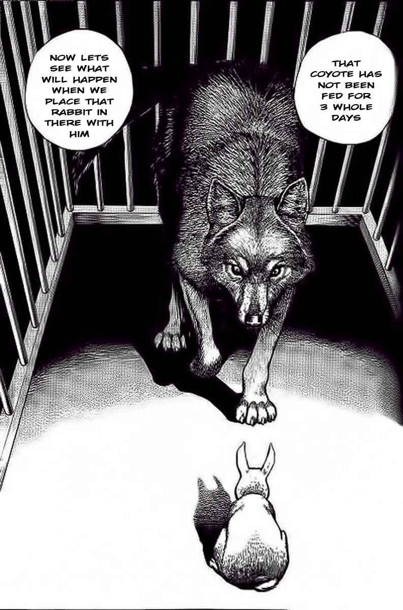 Tough Chapter 234 - Page 11