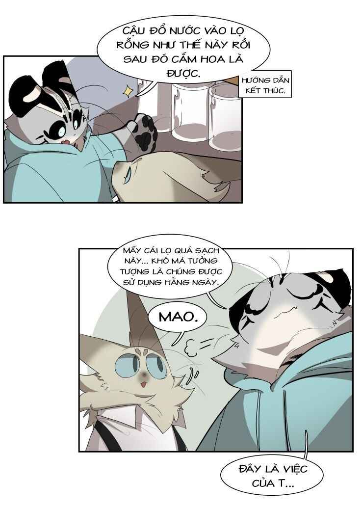 Miss Kitty and Her Bodyguards Chapter 198 - Page 2