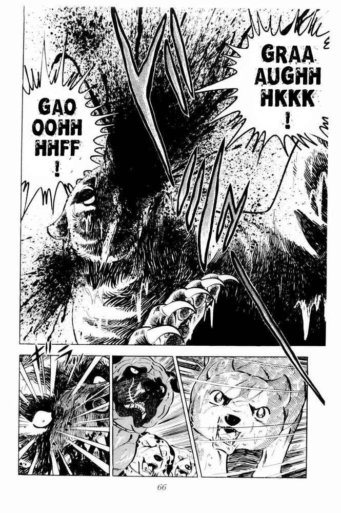 Silver Fang – The Shooting Star Gin – Chapter 38 - Page 20