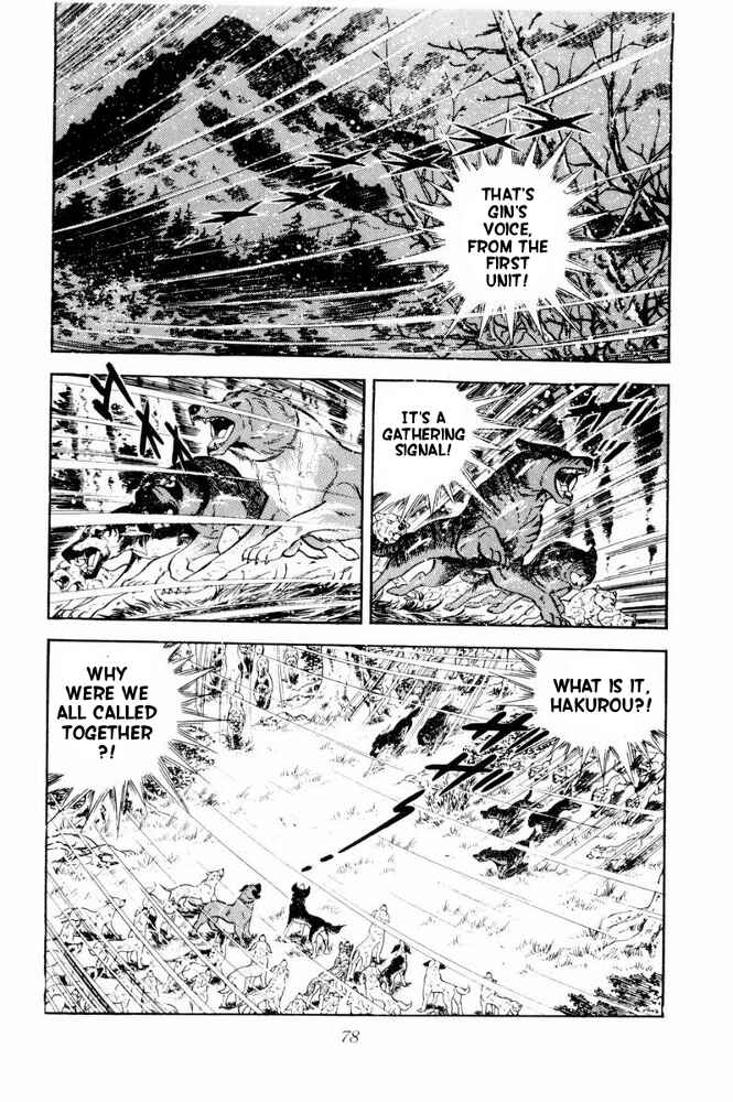 Silver Fang – The Shooting Star Gin – Chapter 38 - Page 32