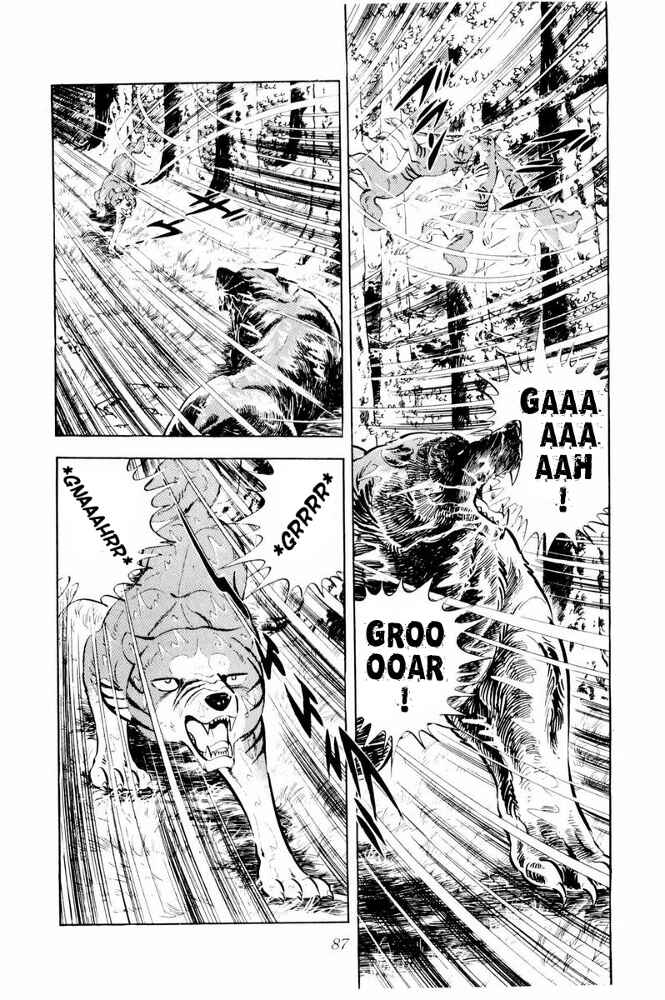 Silver Fang – The Shooting Star Gin – Chapter 38 - Page 41