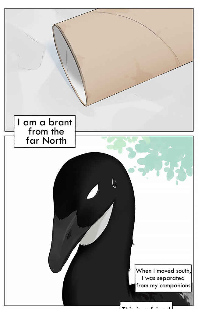 Southern Bird and Northern Bird Chapter 3 - Page 1