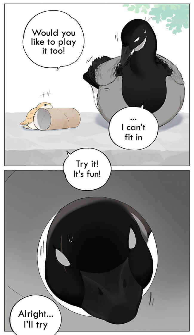 Southern Bird and Northern Bird Chapter 3 - Page 3