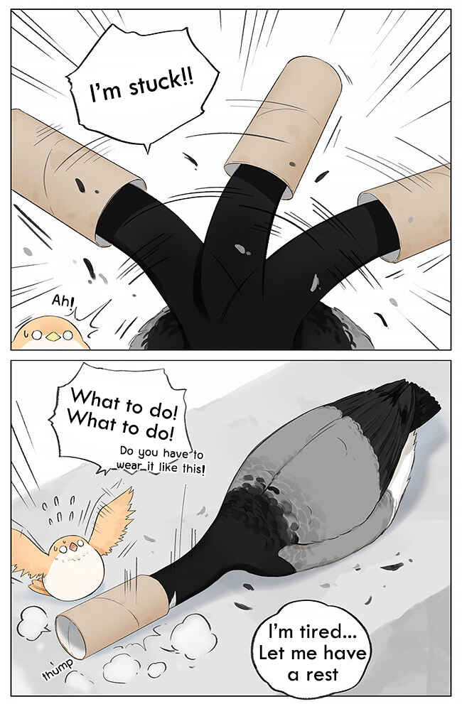 Southern Bird and Northern Bird Chapter 3 - Page 5