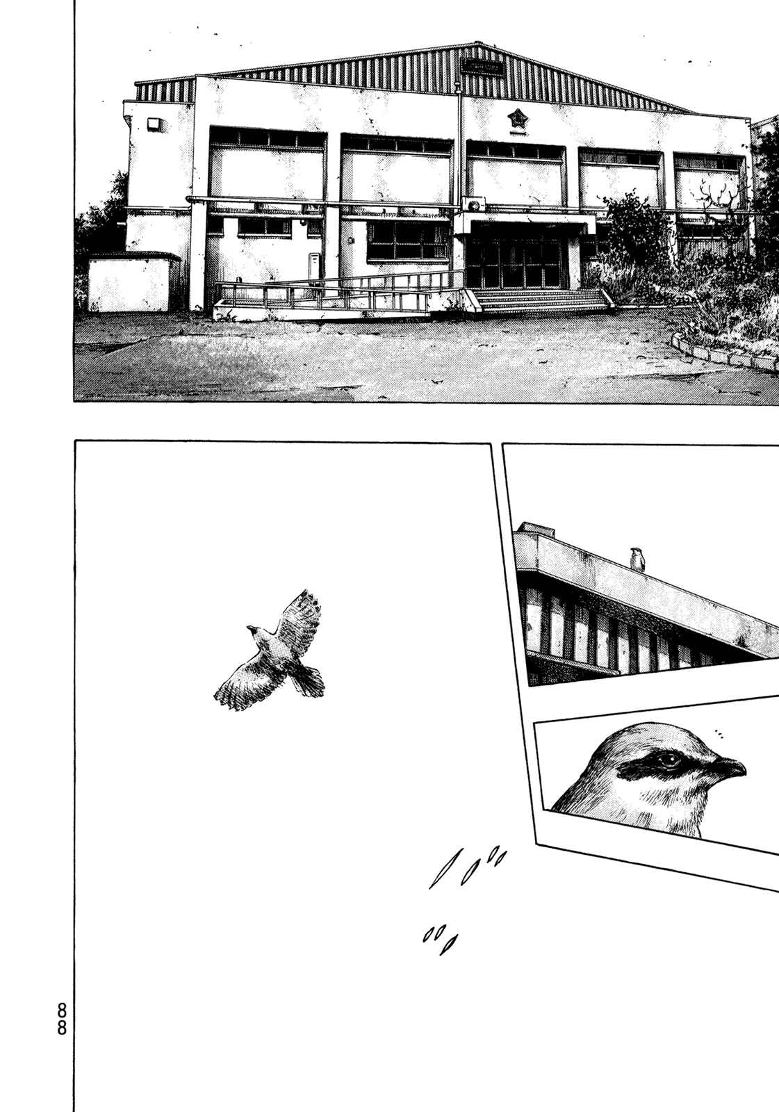 Shamo Chapter 112 - Page 2