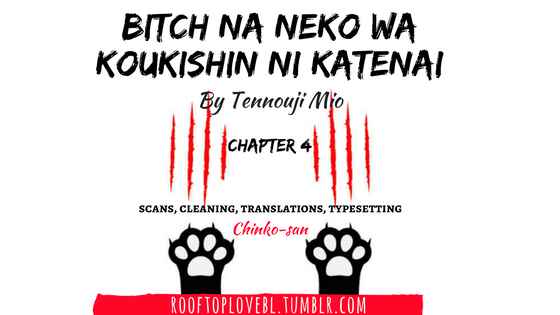Bitch na Neko wa Koukishin ni Katenai Chapter 4 - Page 1
