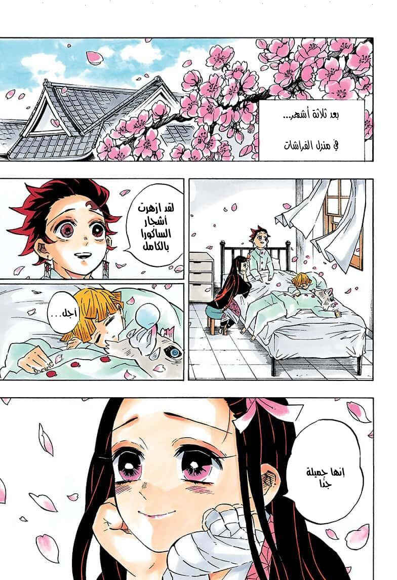 Demon Slayer: Kimetsu no Yaiba Chapter 204 - Page 1